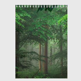 Скетчбук с принтом Тропический лес в Новосибирске, 100% бумага
 | 48 листов, плотность листов — 100 г/м2, плотность картонной обложки — 250 г/м2. Листы скреплены сверху удобной пружинной спиралью | деревья | джунгли | зеленый лес | зелень | лес | тропики | тропический лес