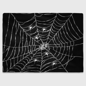 Плед 3D с принтом Паутина с пауками в Новосибирске, 100% полиэстер | закругленные углы, все края обработаны. Ткань не мнется и не растягивается | black and white | darkness | halloween | horror | night | spider | web | готика | жуки | жуткий | мальчикам | насекомые | нечисть | нити | ночные | ночь | пауки | паутина | подарок | сетка | страшный | темный | тьма | хеллоуин | хоррор