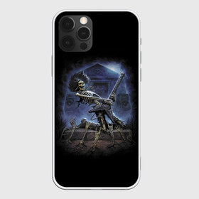 Чехол для iPhone 12 Pro Max с принтом Rock в Новосибирске, Силикон |  | bones | guitar | music | rock | skull | solo | tomb | гитара | кости | могила | музыка | рок | соло | череп