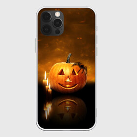 Чехол для iPhone 12 Pro Max с принтом Паук на тыкве в Новосибирске, Силикон |  | halloween | паук | паук на тыкве | праздник | страшный праздник | тыква | тыква джек | хэллоуин