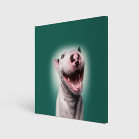 Холст квадратный с принтом Bully в Новосибирске, 100% ПВХ |  | Тематика изображения на принте: bull terrier | ears | eyes | fangs | jaw | muzzle | nose | smile | бультерьер | глаза | клыки | нос | пасть | улыбка | уши