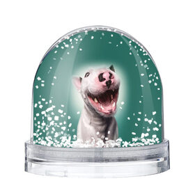 Снежный шар с принтом Bully в Новосибирске, Пластик | Изображение внутри шара печатается на глянцевой фотобумаге с двух сторон | bull terrier | ears | eyes | fangs | jaw | muzzle | nose | smile | бультерьер | глаза | клыки | нос | пасть | улыбка | уши