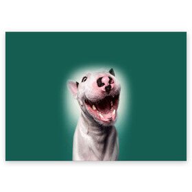 Поздравительная открытка с принтом Bully в Новосибирске, 100% бумага | плотность бумаги 280 г/м2, матовая, на обратной стороне линовка и место для марки
 | bull terrier | ears | eyes | fangs | jaw | muzzle | nose | smile | бультерьер | глаза | клыки | нос | пасть | улыбка | уши
