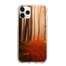 Чехол для iPhone 11 Pro Max матовый с принтом Осенний лес в Новосибирске, Силикон |  | Тематика изображения на принте: деревья | лес | листва | осенний лес | осень | природа