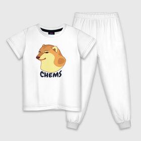 Детская пижама хлопок с принтом Чимс в Новосибирске, 100% хлопок |  брюки и футболка прямого кроя, без карманов, на брюках мягкая резинка на поясе и по низу штанин
 | chemps | chems | doge | dogo | дог | доге | доке и чимс | чимс | чимс доге