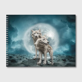 Альбом для рисования с принтом Волки альбиносы в Новосибирске, 100% бумага
 | матовая бумага, плотность 200 мг. | Тематика изображения на принте: альбинос | волк | волки | волчата | волчонок | зверь