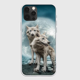 Чехол для iPhone 12 Pro Max с принтом Волки альбиносы в Новосибирске, Силикон |  | альбинос | волк | волки | волчата | волчонок | зверь
