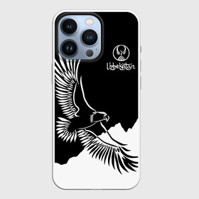 Чехол для iPhone 13 Pro с принтом Узбекистан в Новосибирске,  |  | eagle | mountains | republic | silhouette | stencil | uzbekistan | горы | орел | республика | силуэт | трафарет | узбекистан