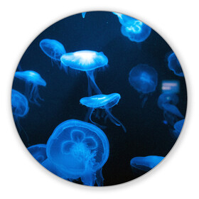 Коврик для мышки круглый с принтом Медуза в Новосибирске, резина и полиэстер | круглая форма, изображение наносится на всю лицевую часть | medusozoa | медуза | медузы | морское животное | ядовитая медуза