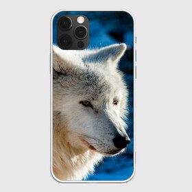 Чехол для iPhone 12 Pro Max с принтом Северный волк в Новосибирске, Силикон |  | wolf | wolfs | волк | волки | волчара | животные | звери | лес | природа