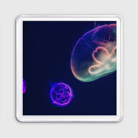 Магнит 55*55 с принтом Фантастическая медуза в Новосибирске, Пластик | Размер: 65*65 мм; Размер печати: 55*55 мм | Тематика изображения на принте: медуза | медуза в море | морская медуза | плавающая медуза | светящаяся медуза