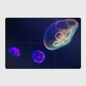 Магнитный плакат 3Х2 с принтом Фантастическая медуза в Новосибирске, Полимерный материал с магнитным слоем | 6 деталей размером 9*9 см | Тематика изображения на принте: медуза | медуза в море | морская медуза | плавающая медуза | светящаяся медуза