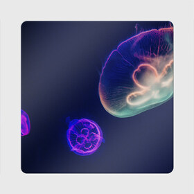 Магнит виниловый Квадрат с принтом Фантастическая медуза в Новосибирске, полимерный материал с магнитным слоем | размер 9*9 см, закругленные углы | Тематика изображения на принте: медуза | медуза в море | морская медуза | плавающая медуза | светящаяся медуза