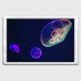 Магнит 45*70 с принтом Фантастическая медуза в Новосибирске, Пластик | Размер: 78*52 мм; Размер печати: 70*45 | медуза | медуза в море | морская медуза | плавающая медуза | светящаяся медуза