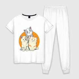 Женская пижама хлопок с принтом Котики в Новосибирске, 100% хлопок | брюки и футболка прямого кроя, без карманов, на брюках мягкая резинка на поясе и по низу штанин | art | cats | drawing | kittens | арт | котики | коты | котята | кошки | рисунок
