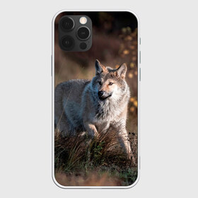 Чехол для iPhone 12 Pro Max с принтом WOLF в Новосибирске, Силикон |  | wolf | wolfs | волк | волки | волчара | животные | звери | лес | природа