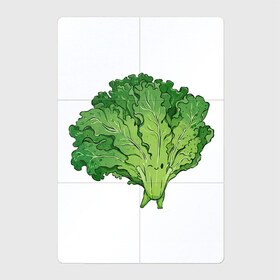 Магнитный плакат 2Х3 с принтом Кудрявая капуста в Новосибирске, Полимерный материал с магнитным слоем | 6 деталей размером 9*9 см | арт | капуста | кудри | кудрявая | кудрявая капуста | кудряшки | мило | милота | овощ | рисунок | свежий овощ | свежий продукт