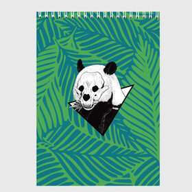 Скетчбук с принтом Панда нежить в Новосибирске, 100% бумага
 | 48 листов, плотность листов — 100 г/м2, плотность картонной обложки — 250 г/м2. Листы скреплены сверху удобной пружинной спиралью | Тематика изображения на принте: бамбук | зверь | листья | медведь | треугольник | череп