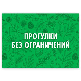 Поздравительная открытка с принтом Прогулки без ограничений в Новосибирске, 100% бумага | плотность бумаги 280 г/м2, матовая, на обратной стороне линовка и место для марки
 | 