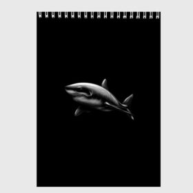 Скетчбук с принтом Акула в Новосибирске, 100% бумага
 | 48 листов, плотность листов — 100 г/м2, плотность картонной обложки — 250 г/м2. Листы скреплены сверху удобной пружинной спиралью | акула | акулы | морские животные | рыбы | хищники