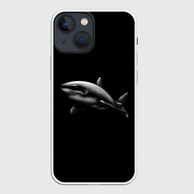 Чехол для iPhone 13 mini с принтом Акула в Новосибирске,  |  | акула | акулы | морские животные | рыбы | хищники