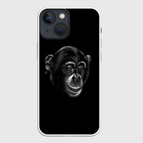 Чехол для iPhone 13 mini с принтом Обезьяна в Новосибирске,  |  | животные | обезьяна | обезьяны | приматы | шимпанзе