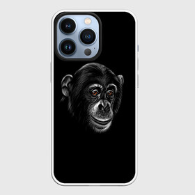 Чехол для iPhone 13 Pro с принтом Обезьяна в Новосибирске,  |  | животные | обезьяна | обезьяны | приматы | шимпанзе