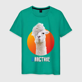 Мужская футболка хлопок с принтом Лама в Новосибирске, 100% хлопок | прямой крой, круглый вырез горловины, длина до линии бедер, слегка спущенное плечо. | Тематика изображения на принте: alpaca | lama | альпака | арт | животное | животные | картинка | лама | милота | рисунок