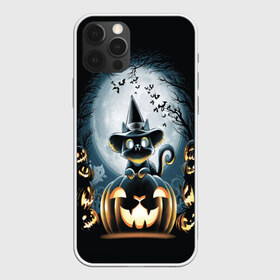 Чехол для iPhone 12 Pro Max с принтом Хэллоуин Кот в Новосибирске, Силикон |  | Тематика изображения на принте: 2020 | cat | cats | halloween | джек | киса | кисуля | кот | котик | коты | кошечка | ленивец | мяу | октябрь | панда | призрак | призраки | собака | тыква | хеллоуин | хелоуин | хэллоуин | хэлоуин | черный кот | щеночек