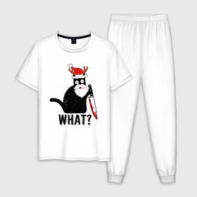 Мужская пижама хлопок с принтом What Cat (Новый Год) в Новосибирске, 100% хлопок | брюки и футболка прямого кроя, без карманов, на брюках мягкая резинка на поясе и по низу штанин
 | Тематика изображения на принте: 