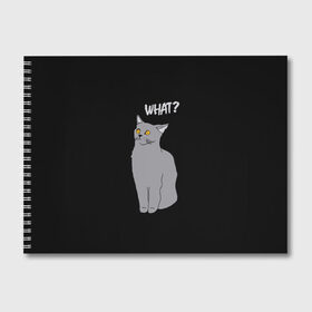 Альбом для рисования с принтом What cat в Новосибирске, 100% бумага
 | матовая бумага, плотность 200 мг. | cat | kitten | kitty | what кот | британская кошка | британский кот | в смысле | взгляд | вопрос | вопросительный знак | глаза кота | животные | кот мем | котенок | котик | котята | кошак | кошка | мемы