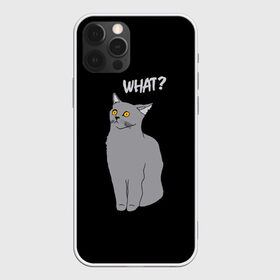 Чехол для iPhone 12 Pro Max с принтом What cat в Новосибирске, Силикон |  | cat | kitten | kitty | what кот | британская кошка | британский кот | в смысле | взгляд | вопрос | вопросительный знак | глаза кота | животные | кот мем | котенок | котик | котята | кошак | кошка | мемы