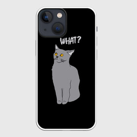 Чехол для iPhone 13 mini с принтом What cat в Новосибирске,  |  | cat | kitten | kitty | what кот | британская кошка | британский кот | в смысле | взгляд | вопрос | вопросительный знак | глаза кота | животные | кот мем | котенок | котик | котята | кошак | кошка | мемы