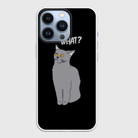 Чехол для iPhone 13 Pro с принтом What cat в Новосибирске,  |  | cat | kitten | kitty | what кот | британская кошка | британский кот | в смысле | взгляд | вопрос | вопросительный знак | глаза кота | животные | кот мем | котенок | котик | котята | кошак | кошка | мемы