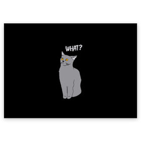 Поздравительная открытка с принтом What cat в Новосибирске, 100% бумага | плотность бумаги 280 г/м2, матовая, на обратной стороне линовка и место для марки
 | Тематика изображения на принте: cat | kitten | kitty | what кот | британская кошка | британский кот | в смысле | взгляд | вопрос | вопросительный знак | глаза кота | животные | кот мем | котенок | котик | котята | кошак | кошка | мемы