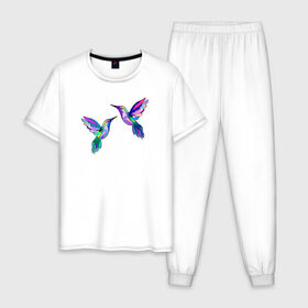 Мужская пижама хлопок с принтом Колибри в Новосибирске, 100% хлопок | брюки и футболка прямого кроя, без карманов, на брюках мягкая резинка на поясе и по низу штанин
 | Тематика изображения на принте: angel | bird | butterfly | parrot | summer | tropical | wings | ангел | бабочки | джунгли | животные | красочные | крылья | летний | лето | перья | попугай | природа | птица | птичка | радужные | райский | стриж | тропики