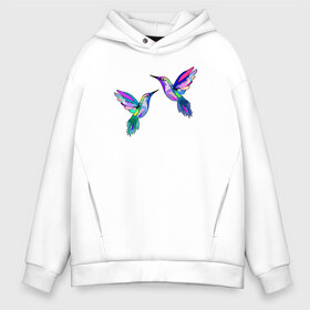 Мужское худи Oversize хлопок с принтом Колибри в Новосибирске, френч-терри — 70% хлопок, 30% полиэстер. Мягкий теплый начес внутри —100% хлопок | боковые карманы, эластичные манжеты и нижняя кромка, капюшон на магнитной кнопке | angel | bird | butterfly | parrot | summer | tropical | wings | ангел | бабочки | джунгли | животные | красочные | крылья | летний | лето | перья | попугай | природа | птица | птичка | радужные | райский | стриж | тропики