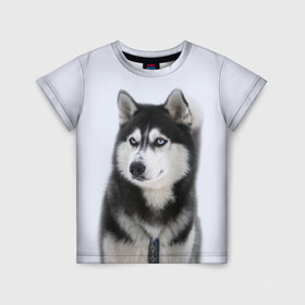 Детская футболка 3D с принтом ХАСКИ в Новосибирске, 100% гипоаллергенный полиэфир | прямой крой, круглый вырез горловины, длина до линии бедер, чуть спущенное плечо, ткань немного тянется | dog | husky | милый | пес | песик | собака | собачка | хаски | щенок