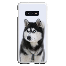 Чехол для Samsung S10E с принтом ХАСКИ в Новосибирске, Силикон | Область печати: задняя сторона чехла, без боковых панелей | dog | husky | милый | пес | песик | собака | собачка | хаски | щенок