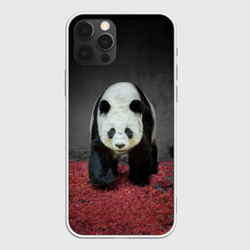 Чехол для iPhone 12 Pro Max с принтом ПАНДА в Новосибирске, Силикон |  | panda | большая | в зоопарке | забавная | медведь | милая | панда | пандочка