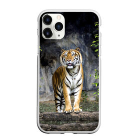 Чехол для iPhone 11 Pro матовый с принтом ТИГР В ЛЕСУ в Новосибирске, Силикон |  | tiger | амурский | бенгальский | в зоопарке | в лесу | дикий | кошка | крупная | полосатый | тигр | тигренок | тигрица