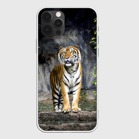 Чехол для iPhone 12 Pro Max с принтом ТИГР В ЛЕСУ в Новосибирске, Силикон |  | Тематика изображения на принте: tiger | амурский | бенгальский | в зоопарке | в лесу | дикий | кошка | крупная | полосатый | тигр | тигренок | тигрица