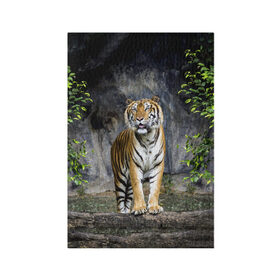 Обложка для паспорта матовая кожа с принтом ТИГР В ЛЕСУ в Новосибирске, натуральная матовая кожа | размер 19,3 х 13,7 см; прозрачные пластиковые крепления | tiger | амурский | бенгальский | в зоопарке | в лесу | дикий | кошка | крупная | полосатый | тигр | тигренок | тигрица