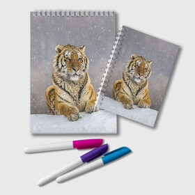 Блокнот с принтом ТИГР ЗИМОЙ в Новосибирске, 100% бумага | 48 листов, плотность листов — 60 г/м2, плотность картонной обложки — 250 г/м2. Листы скреплены удобной пружинной спиралью. Цвет линий — светло-серый
 | Тематика изображения на принте: tiger | амурский | бенгальский | дикий | зима | зимой | кошка | крупная | полосатый | тигр | тигренок | тигрица