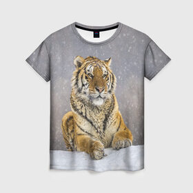 Женская футболка 3D с принтом ТИГР ЗИМОЙ в Новосибирске, 100% полиэфир ( синтетическое хлопкоподобное полотно) | прямой крой, круглый вырез горловины, длина до линии бедер | tiger | амурский | бенгальский | дикий | зима | зимой | кошка | крупная | полосатый | тигр | тигренок | тигрица