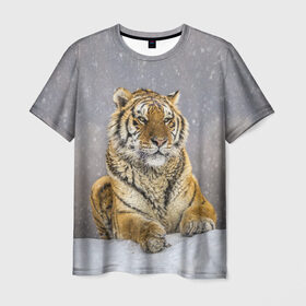 Мужская футболка 3D с принтом ТИГР ЗИМОЙ в Новосибирске, 100% полиэфир | прямой крой, круглый вырез горловины, длина до линии бедер | tiger | амурский | бенгальский | дикий | зима | зимой | кошка | крупная | полосатый | тигр | тигренок | тигрица