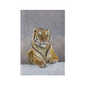 Обложка для паспорта матовая кожа с принтом ТИГР ЗИМОЙ в Новосибирске, натуральная матовая кожа | размер 19,3 х 13,7 см; прозрачные пластиковые крепления | Тематика изображения на принте: tiger | амурский | бенгальский | дикий | зима | зимой | кошка | крупная | полосатый | тигр | тигренок | тигрица