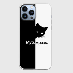 Чехол для iPhone 13 Pro Max с принтом Черный кот в Новосибирске,  |  | Тематика изображения на принте: буквы | глаза | кот | котик | кошка | минимал | надпись | настроение | простая надпись | текст | черно белое | черный кот | черный фон