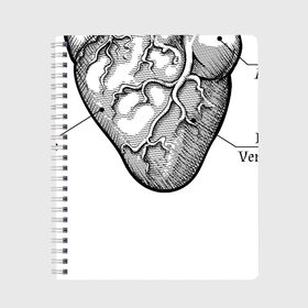 Тетрадь с принтом Схема сердца в Новосибирске, 100% бумага | 48 листов, плотность листов — 60 г/м2, плотность картонной обложки — 250 г/м2. Листы скреплены сбоку удобной пружинной спиралью. Уголки страниц и обложки скругленные. Цвет линий — светло-серый
 | Тематика изображения на принте: надписи | органы | сердце | схема