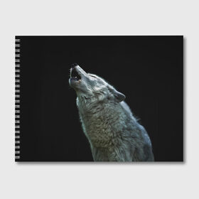 Альбом для рисования с принтом Воющий волк в Новосибирске, 100% бумага
 | матовая бумага, плотность 200 мг. | ауф | волк | воющий волк | животное | зверь
